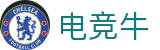 电竞牛 - 见证每一份荣耀，这里是电竞爱好者的主场